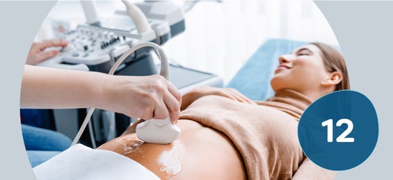 12. Schwangerschaftswoche