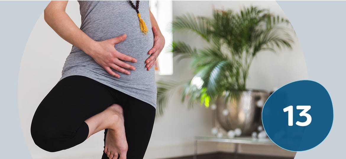 13. Schwangerschaftswoche