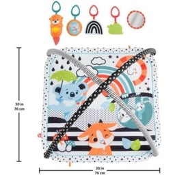 Fisher-Price Spieldecke mit Spielbogen - 1 Stk