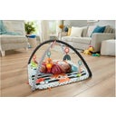 Fisher-Price Spieldecke mit Spielbogen - 1 Stk