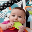 Fisher-Price Spieldecke mit Spielbogen - 1 Stk