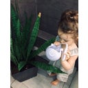 Scrunch Gießkanne - lila