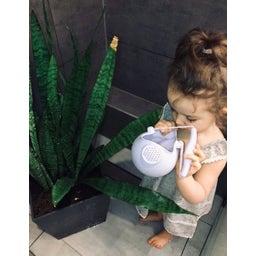 Scrunch Gießkanne - lila