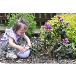 Scrunch Gießkanne - lila