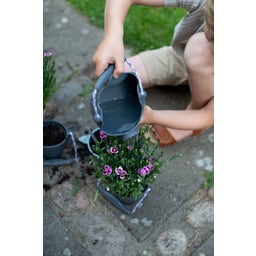 Scrunch Gießkanne - anthrazit