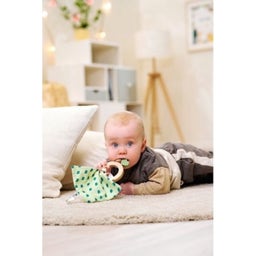 Eichhorn HIPP - Greifling