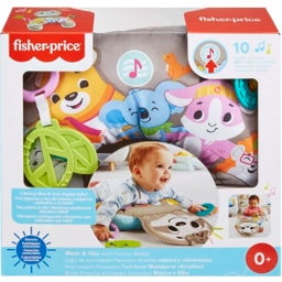 Fisher-Price Faultier-Spielkissen mit Vibration