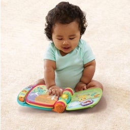 VTech Baby - Mein erstes Liederbuch, bunt