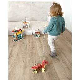 small foot Motorikschleife „Dino“