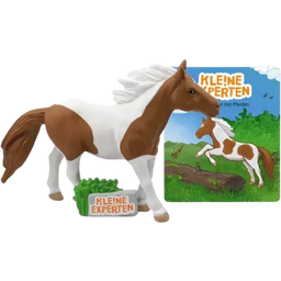 Hörfigur - KLE!NE EXPERTEN - ... galoppieren mit Pferden - 1 Stk