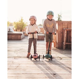 Scoot and Ride Highwaykick 3 LED - forest - 1 Stk