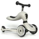 Scoot and Ride Highwaykick 1 - ash