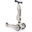 Scoot and Ride Highwaykick 1 - ash