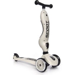 Scoot and Ride Highwaykick 1 - ash