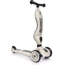 Scoot and Ride Highwaykick 1 - ash