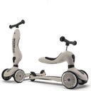 Scoot and Ride Highwaykick 1 - ash