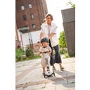 Highwaykick Push and Go Ash