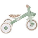 Globber LEARNING BIKE ECO - salbei grün