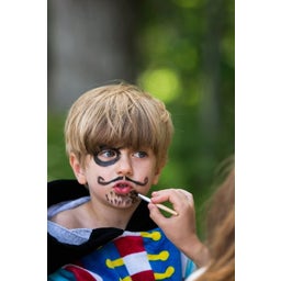 Namaki Pirate & Ladybird Face Painting Kit - 1 Set