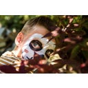 Namaki Devil & Spider Face Painting Kit - 1 Set