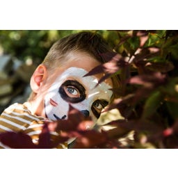 Namaki Devil & Spider Face Painting Kit - 1 Set