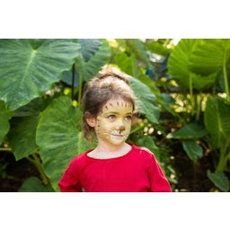 Namaki Wild Life Face Painting Kit - 1 Set