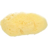 Koutouzis Natural Sea Sponges Naturschwamm "Silk"