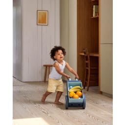 Modu 3-in-1 Baby Walker - Deep Blue / Sky Blue