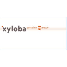 Xyloba Erweiterungskasten piccolino>mezzo - 1 Stk
