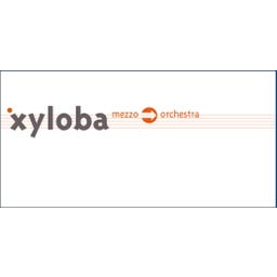 Xyloba Erweiterungskasten mezzo>orchestra - 1 Stk