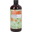 Family 2in1 Shampoo & Duschgel Orangenblüte & Bergamotte - 500 ml