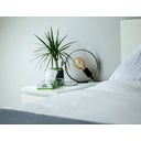 Cheeky Panda Kosmetiktücher - 80 Stk