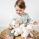 Nattou Teddy Baby-Hund 24 cm - 1 Stk
