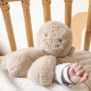 Nattou Teddy Krake beige - 1 Stk