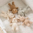 Nattou Teddy Baby-Bär 24 cm - 1 Stk