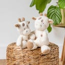 Nattou Teddy Baby-Giraffe 24 cm - 1 Stk