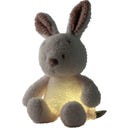 Mini  Kuscheltier Hase Nachtlicht Teddy Vanilla - 1 Stk