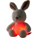 Mini  Kuscheltier Hase Nachtlicht Teddy Vanilla - 1 Stk