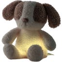 Mini  Kuscheltier Hund Nachtlicht Teddy Vanilla - 1 Stk