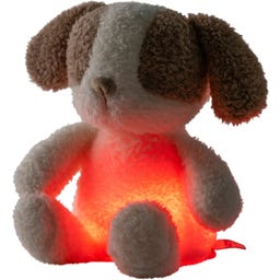 Mini  Kuscheltier Hund Nachtlicht Teddy Vanilla - 1 Stk