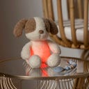 Mini  Kuscheltier Hund Nachtlicht Teddy Vanilla - 1 Stk