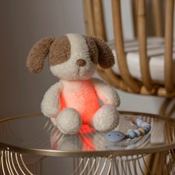 Mini  Kuscheltier Hund Nachtlicht Teddy Vanilla - 1 Stk