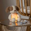 Mini  Kuscheltier Hund Nachtlicht Teddy Vanilla - 1 Stk