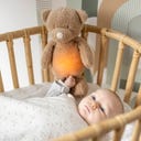 Sleepy Bär Kuscheltier Nachtlicht Teddy braun - 1 Stk