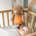 Sleepy Bär Kuscheltier Nachtlicht Teddy braun - 1 Stk