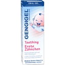 Gengigel Premières Dents - 20 ml