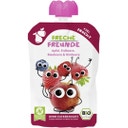 Bio Quetschie Apfel, Erdbeere, Blaubeere & Himbeere - 100 g