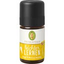 Primavera KIDS Study Fragrance Blend - 5 ml
