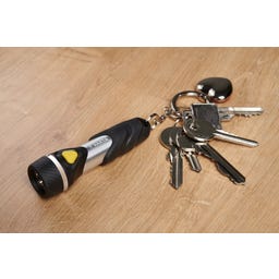 Day Light Key Chain Light with Key Ring incl. 1x AAA LONGLIFE Power