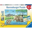 Puzzle - Tierkinder aus aller Welt, 2 x 12 Teile - 1 Stk